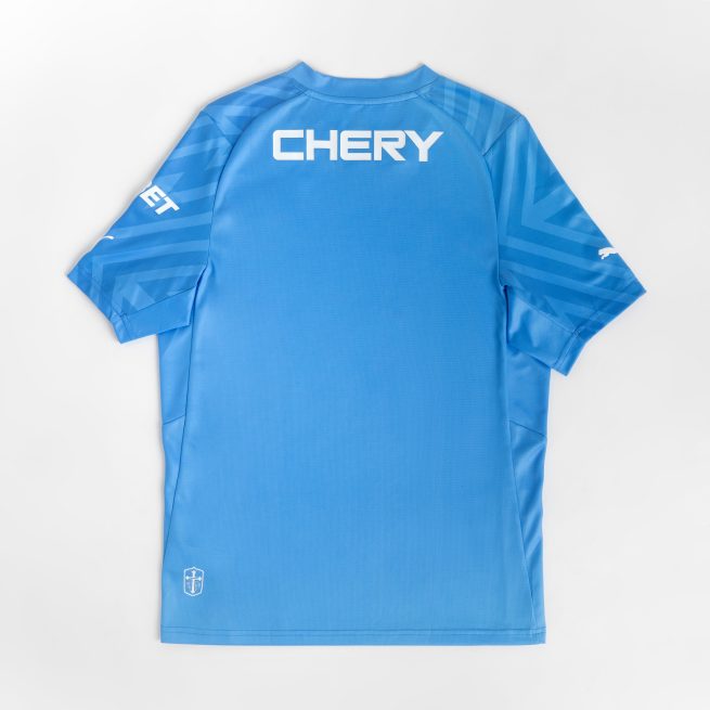 Camiseta Puma Universidad Cat??lica Arquero Visita 2024 Adulto