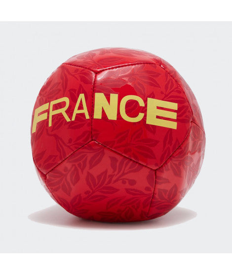 Minibalon de Futbol Nike Francia Talla 1